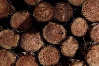 Jolijn Gommans Photography