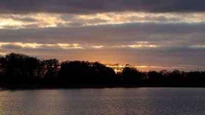 Fotografie Koos Lanting