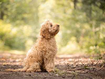 Bo Brankaert Photography & Design