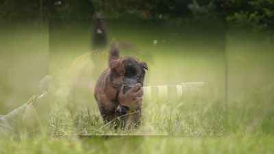 Alette Holman Fotografie