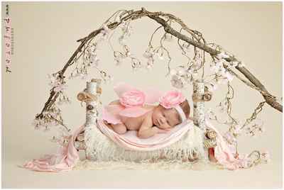 Fotostudio Pmfoto